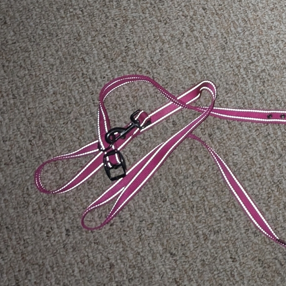 Max & Neo Dog Collar and Leash Set + Outward Hound Backpack - Picture 7 of 12